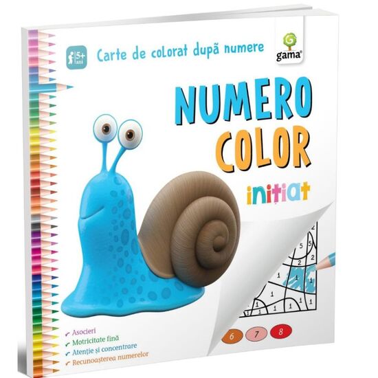 NumeroColor Initiat